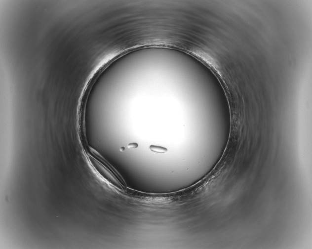 X0000086951135200704301212