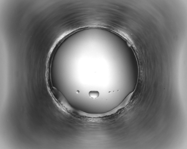 X0000086951136200704301212