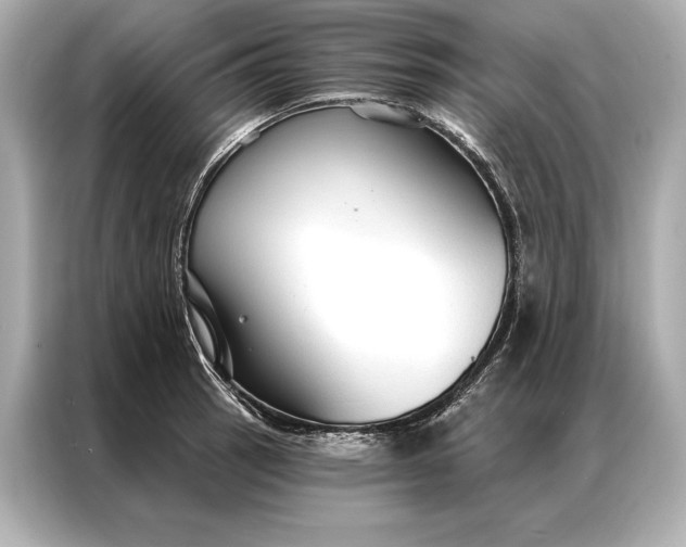 X0000086951137200704301212