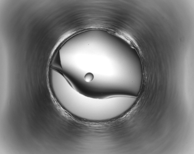 X0000086951138200704301212