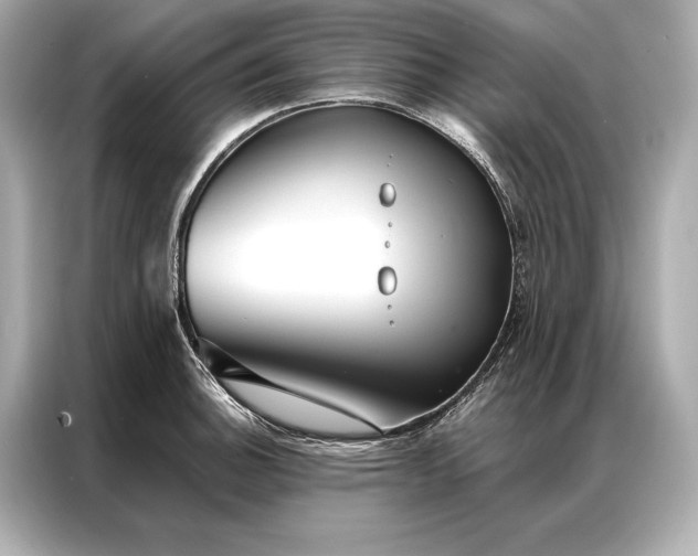 X0000086951140200704301212