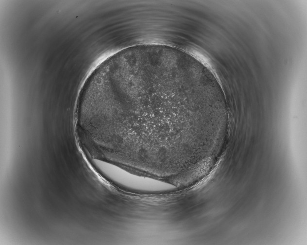 X0000086951141200704301212