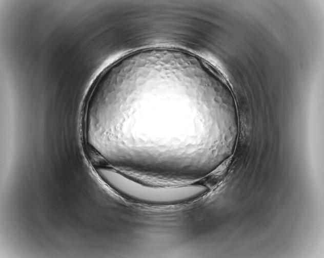 X0000086951142200704301212