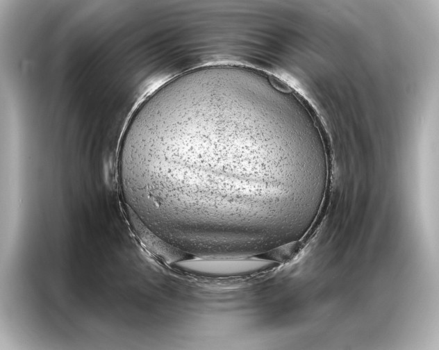 X0000086951145200704301212