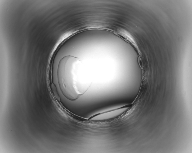 X0000086951146200704301212