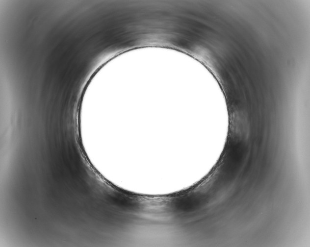 X0000086951150200704301212