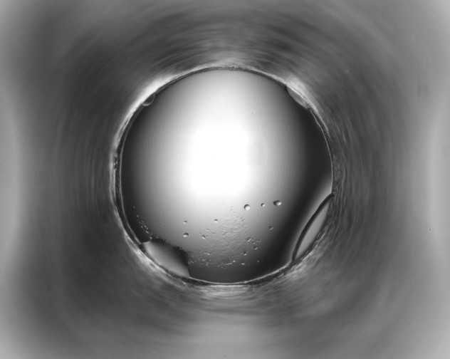 X0000086951151200704301212