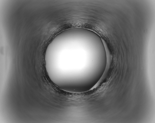 X0000086951153200704301212