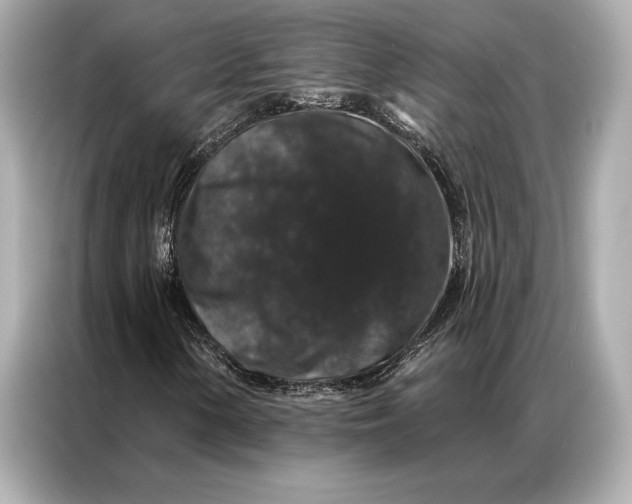 X0000086951154200704301212