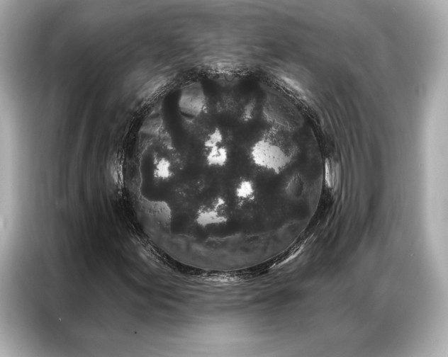 X0000086951155200704301212