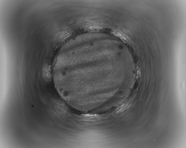 X0000086951156200704301212