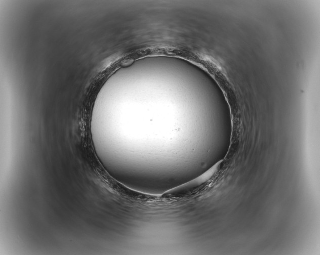 X0000086951159200704301212