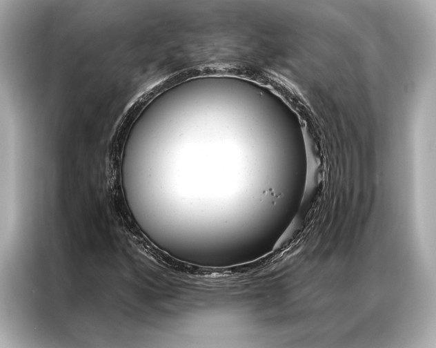 X0000086951160200704301212