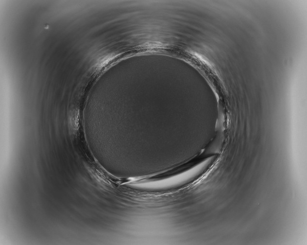 X0000086951161200704301212