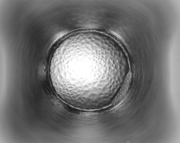 X0000086951163200704301211