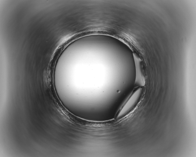 X0000086951164200704301211