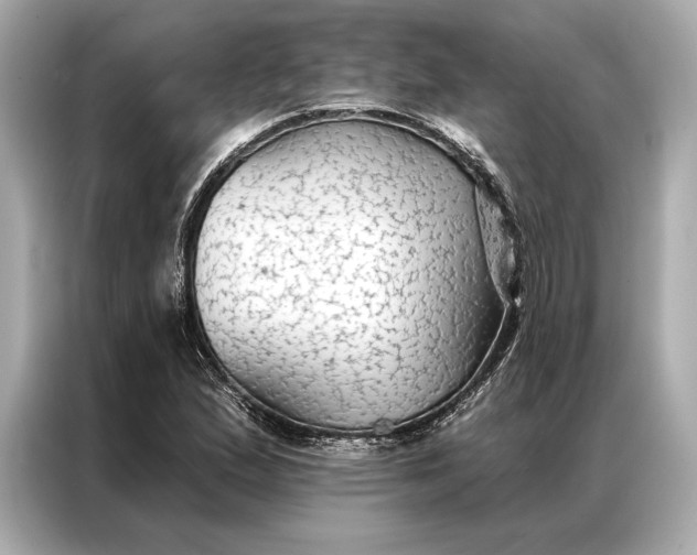 X0000086951167200704301211