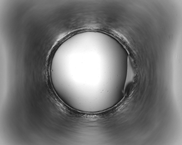 X0000086951168200704301211