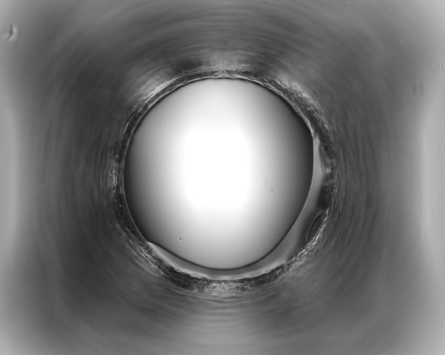 X0000086951169200704301211