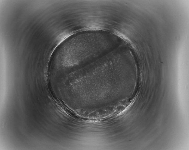 X0000086951170200704301211