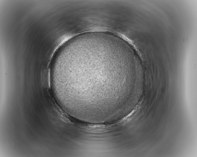 X0000086951171200704301211