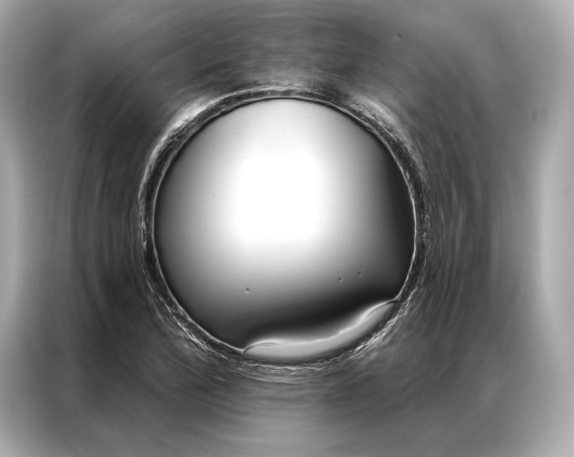 X0000086951172200704301211