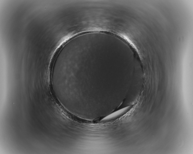 X0000086951173200704301211