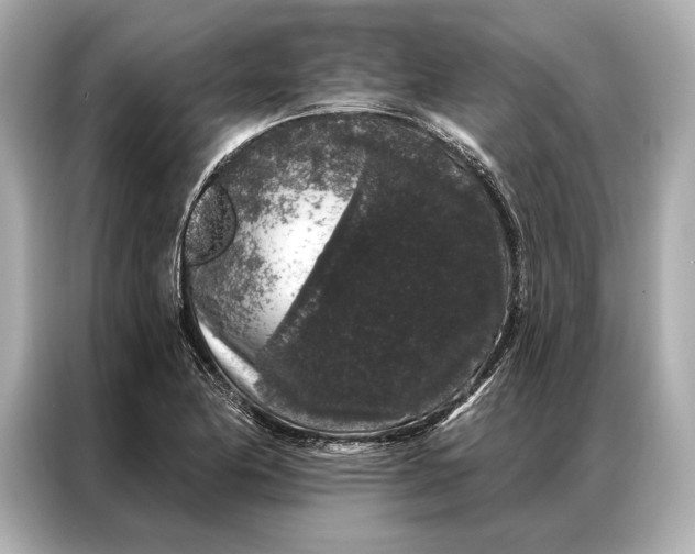 X0000086951174200704301211