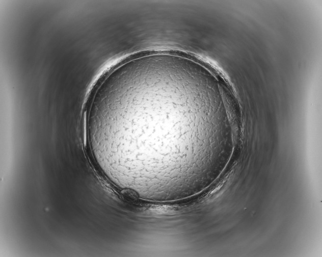 X0000086951175200704301211