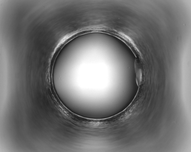 X0000086951176200704301211