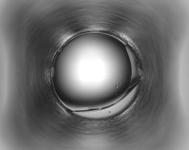 X0000086951177200704301211