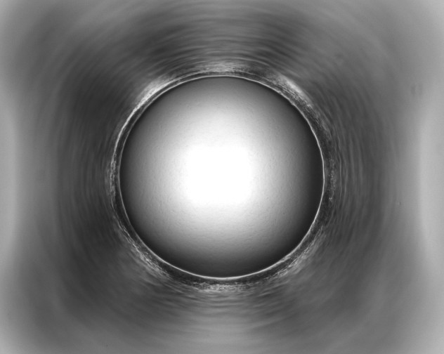 X0000086951178200704301211