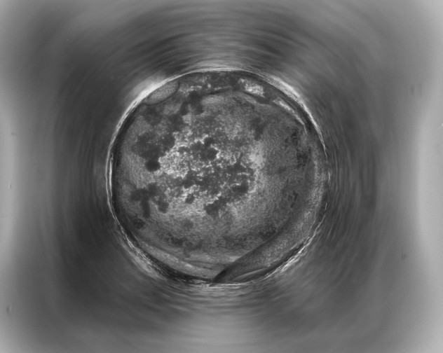 X0000086951179200704301211