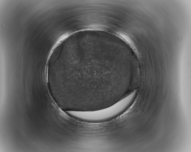 X0000086951180200704301211