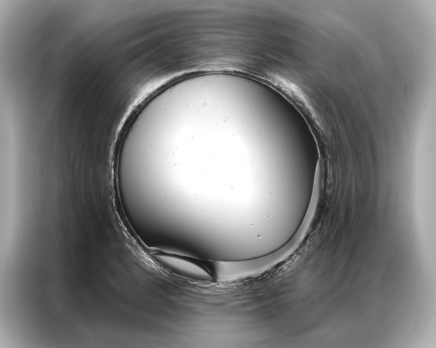 X0000086951184200704301211