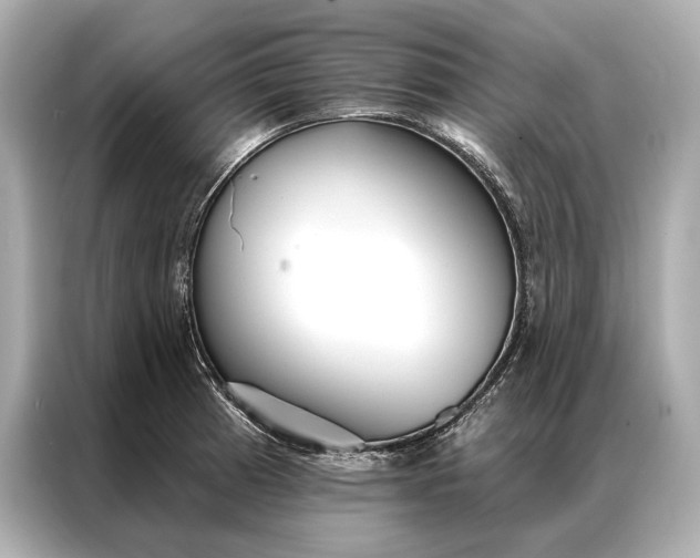 X0000086951185200704301211