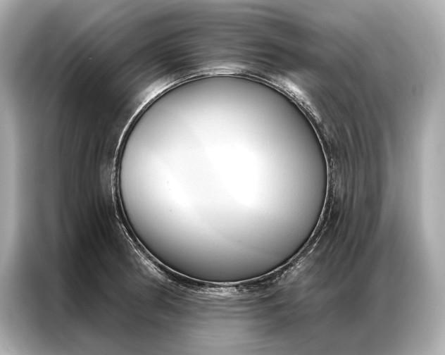 X0000086951186200704301211