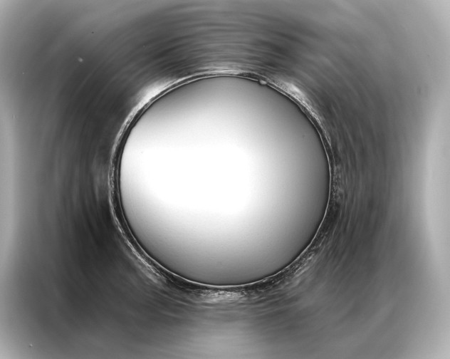 X0000086951187200704301211