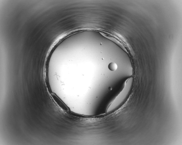 X0000086951188200704301211