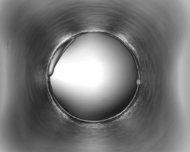 X0000086951189200704301211