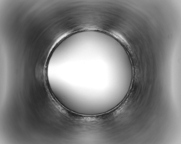 X0000086951190200704301211