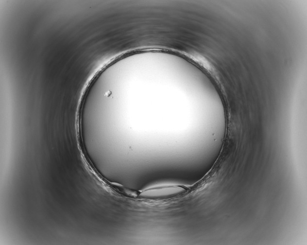 X0000086951191200704301211