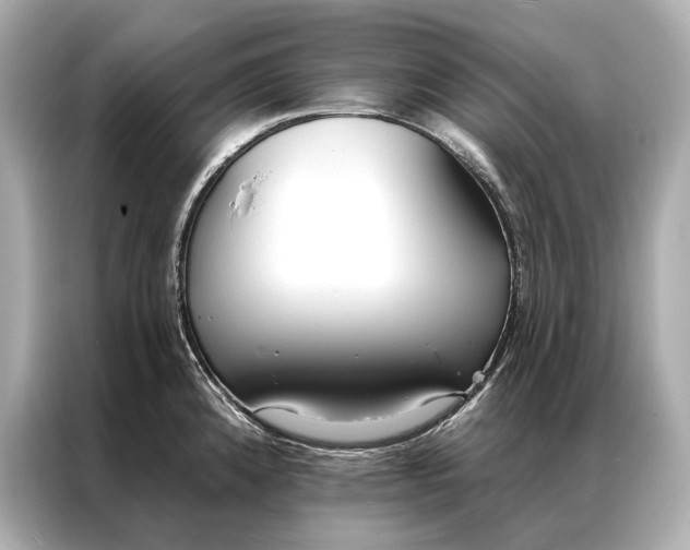 X0000086951192200704301211