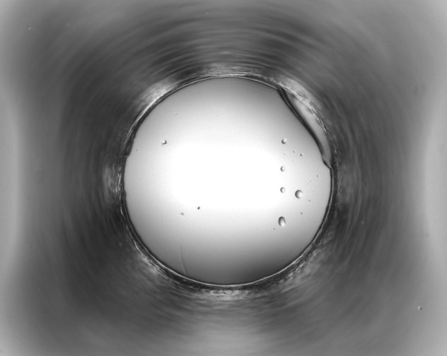 X0000086951193200704301211