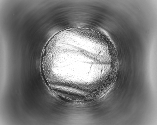 X0000086951194200704301211