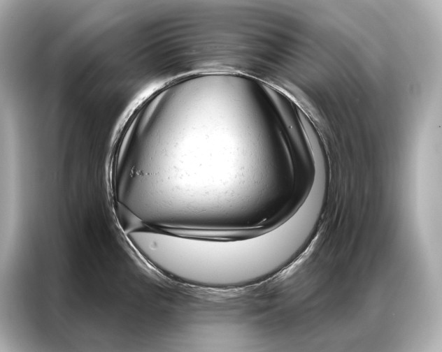 X0000086951196200704301211