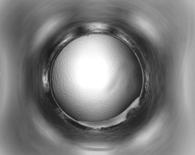 X0000086951198200704301211