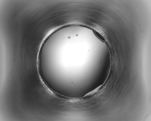 X0000086951199200704301211