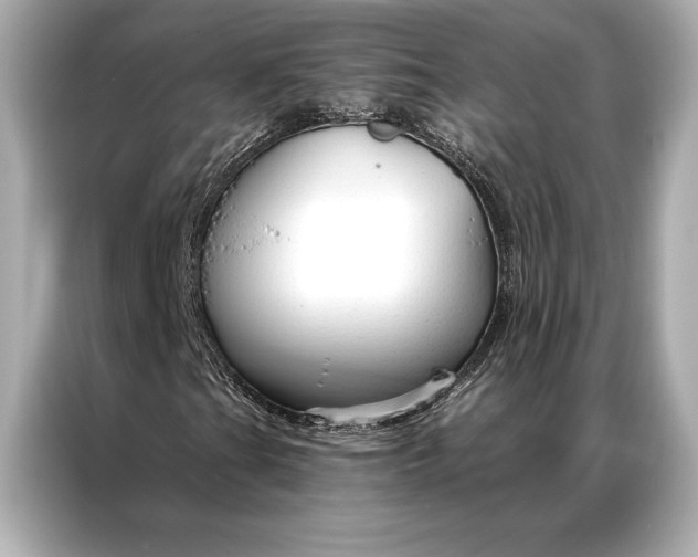 X0000086951201200704301210