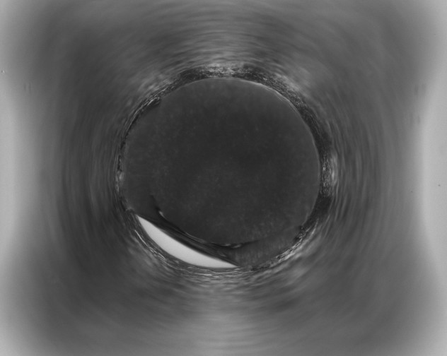 X0000086951202200704301210